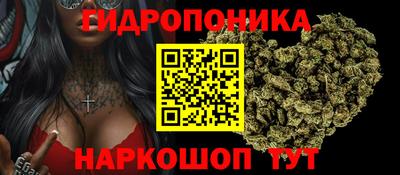 стаф Краснознаменск