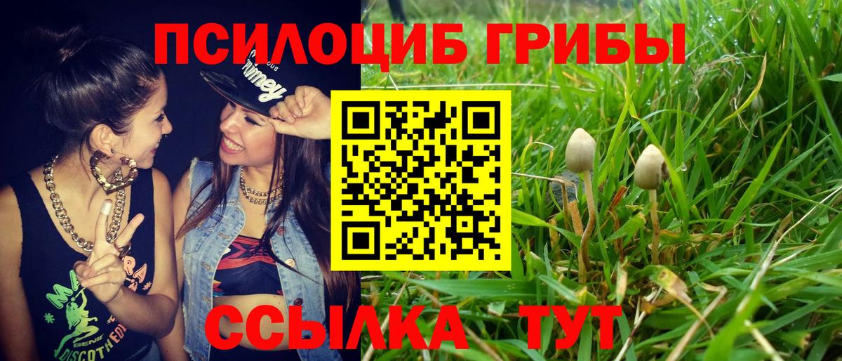 Коломна  Псилоцибиновые грибы Psilocybe  Вход с VPN 